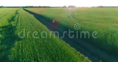 鸟瞰年轻男孩，骑着自行车穿过古老的乡村道<strong>路上</strong>的麦田。 <strong>阳光</strong>和光束。